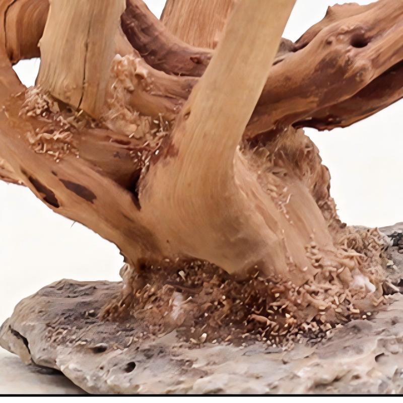 家のための木の装飾品,1ピース,造園,魚の木,家のための根の - Aquarium Plant Roots のレビューと価格