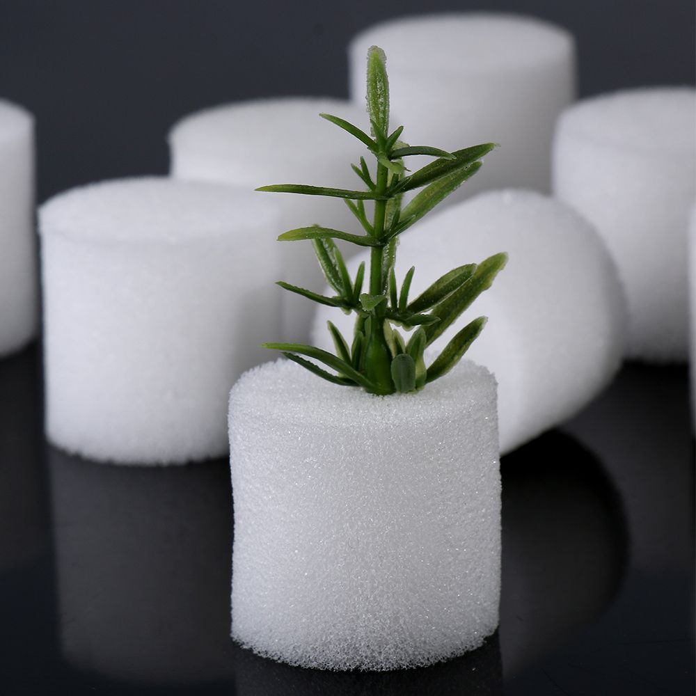 耐久性のあるガーデン用品,10/50個,保育園の植物,無水耕 - Aquarium Planted Seeds のレビューと価格