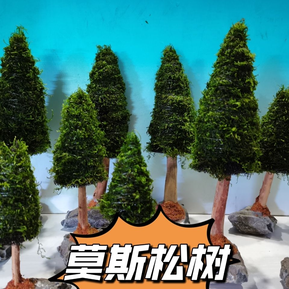 水族館の装飾,きらびやかな植物,木,クリスマスの木,魚の装飾 - Aquarium Planted Seeds のレビューと価格