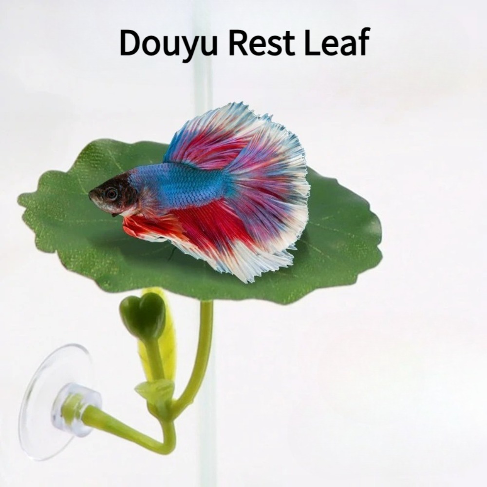 1個入りグリーンリーフベタフィッシュハンモック、ストレス軽減 - Planted Aquarium For Betta のレビューと価格