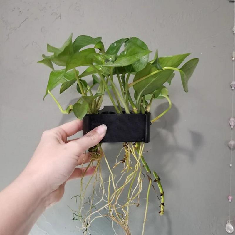 穴のあるハンギングプランターポット,魚の植物のサポート,水族 - Emersed Plants Aquarium のレビューと価格