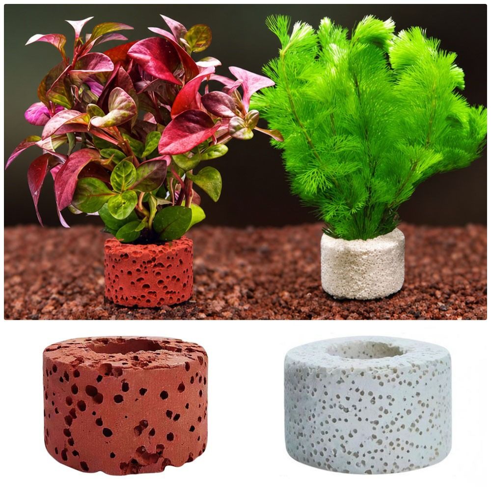 10 個の加重リング水生植物固定リング基材リング写真に示され - Planted Aquarium Pictures のレビューと価格