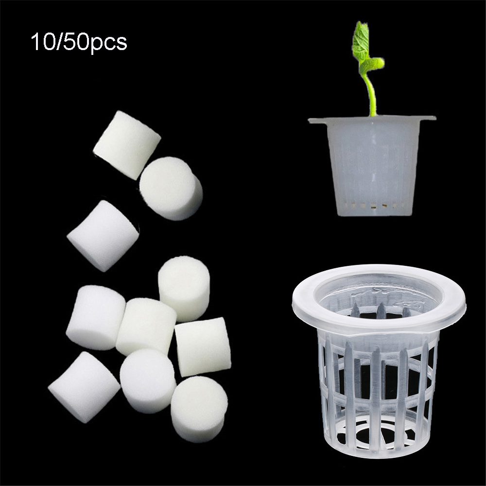 10/50 個耐久性のある植栽水族館無土壌水耕種子トレイ植栽 - Aquarium Planted Seeds のレビューと価格