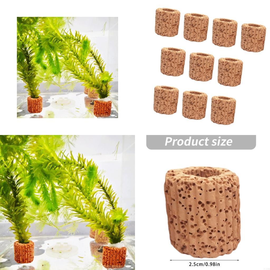 F19B 水族館植物ホルダー水産養殖植物カップ水槽水族館の装 - Emersed Plants Aquarium のレビューと価格