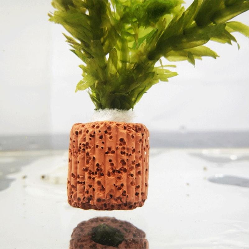 F19B 水族館植物ホルダー水産養殖植物カップ水槽水族館の装 - Emersed Plants Aquarium のレビューと価格