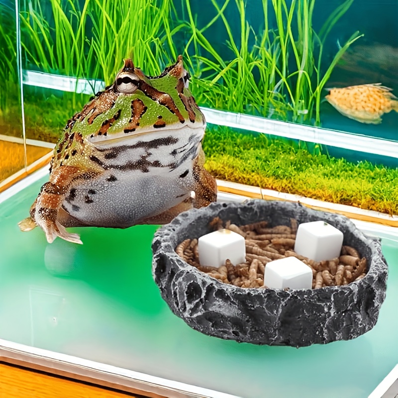 6個入り 魚タンク用カルシウムブロックミネラル 水槽用品 爬 - Aquarium Plant Roots のレビューと価格