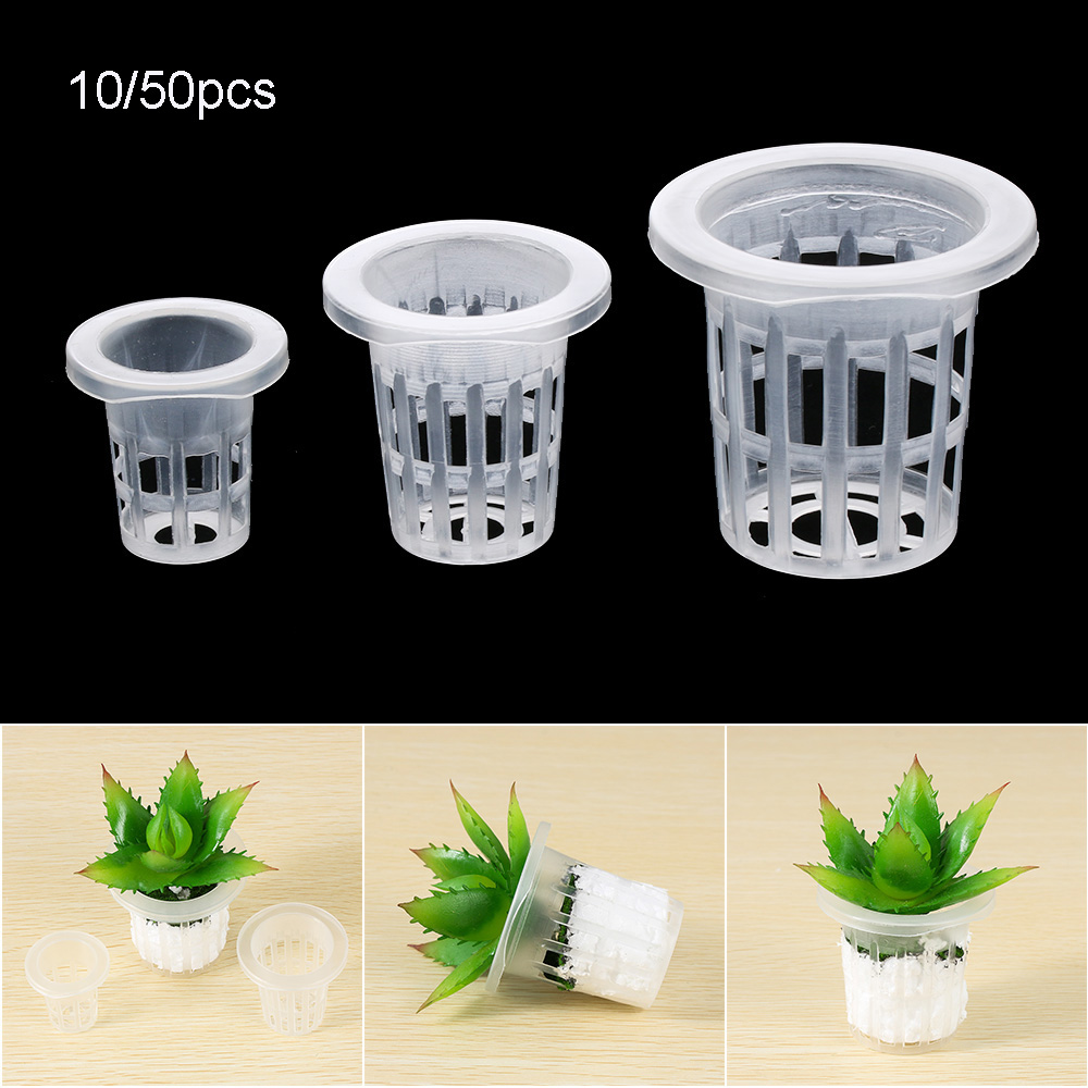 10/50 個ガーデン用品植栽水族館栽培保育園スポンジ植栽バ - Aquarium Planted Seeds のレビューと価格