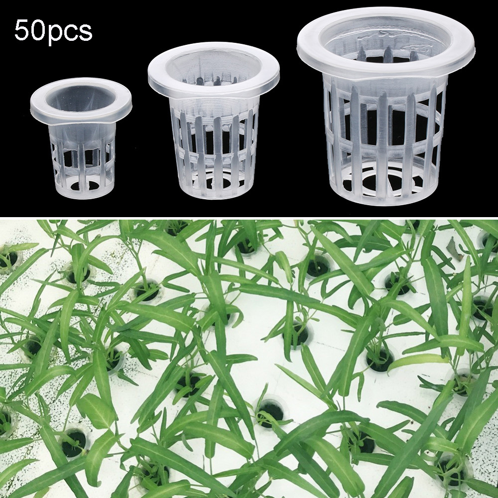 10/50 個ガーデン用品植栽水族館栽培保育園スポンジ植栽バ - Aquarium Planted Seeds のレビューと価格