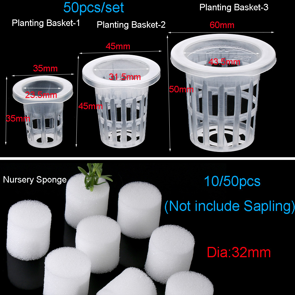 10/50 個ガーデン用品植栽水族館栽培保育園スポンジ植栽バ - Aquarium Planted Seeds のレビューと価格